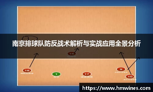 南京排球队防反战术解析与实战应用全景分析