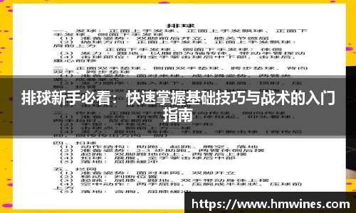 排球新手必看：快速掌握基础技巧与战术的入门指南