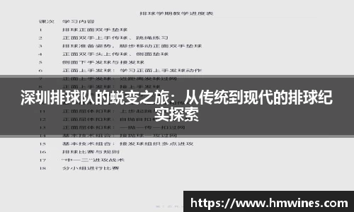 深圳排球队的蜕变之旅：从传统到现代的排球纪实探索