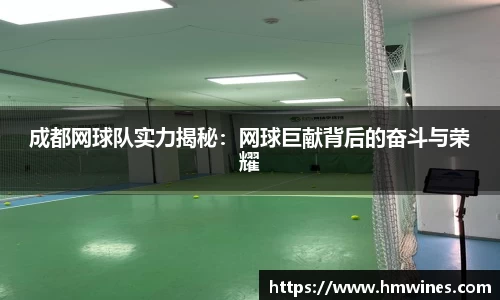 成都网球队实力揭秘：网球巨献背后的奋斗与荣耀